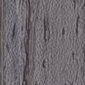 Trex Island Mist composite decking color sample